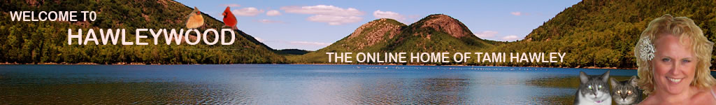 Tami Hawley banner
